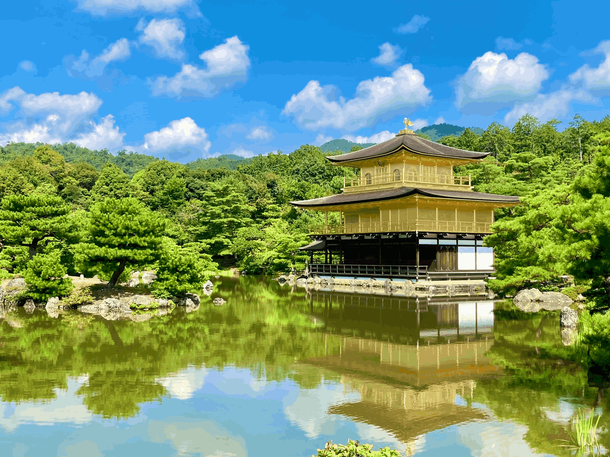 龍 安寺 ストア から 金閣寺 バス