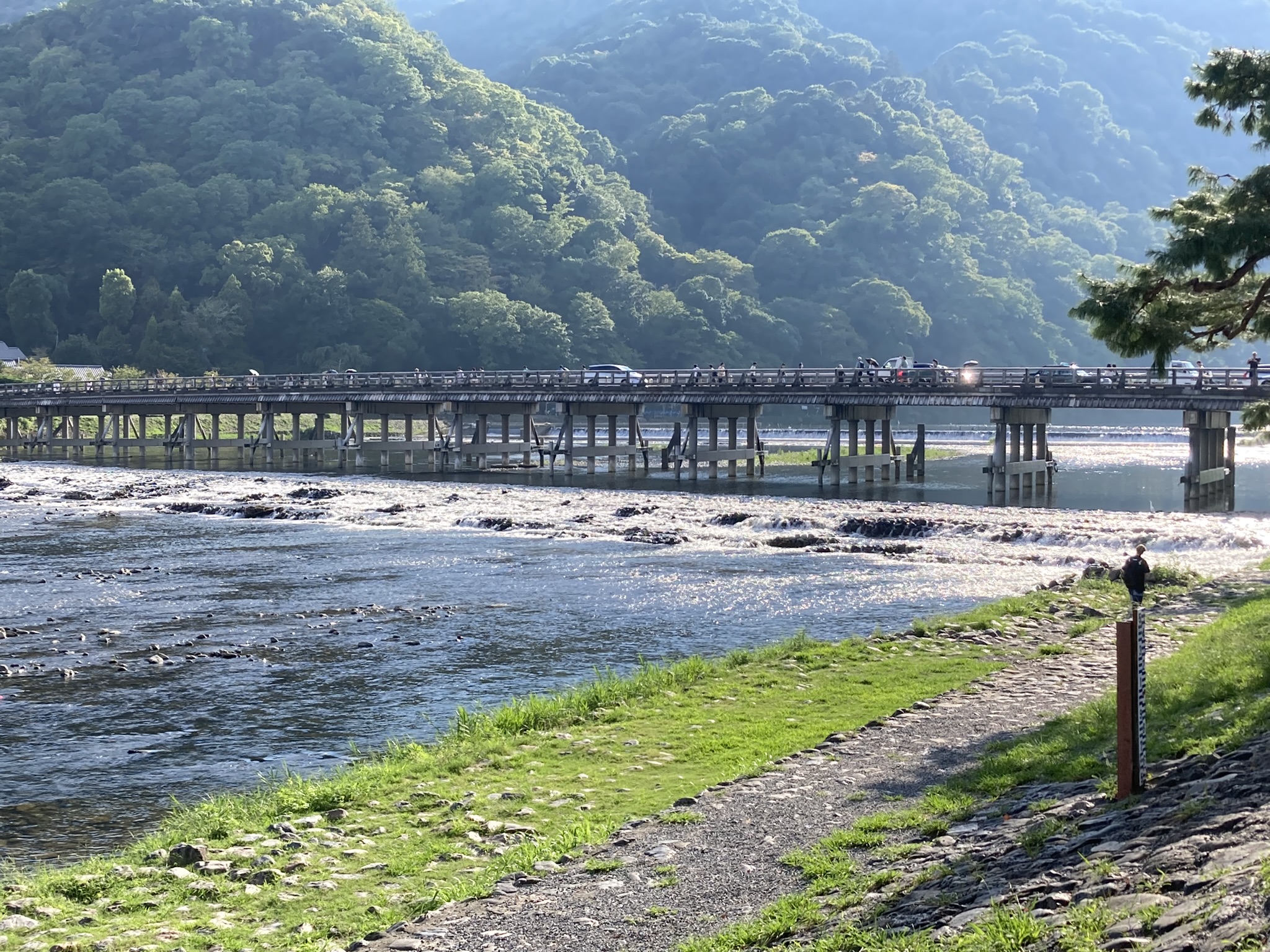 京都 嵐山の「お勧めのアクセス・混雑回避方法」を地元京都人が解説