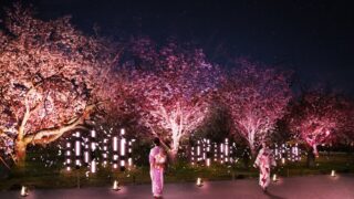 2025年 京都【3月】 春のおすすめイベント・特別拝観スケジュール一覧-